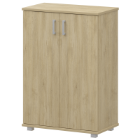 Шкаф средний Аргентум НТ-480+НТ-601.2 Баттл Рок